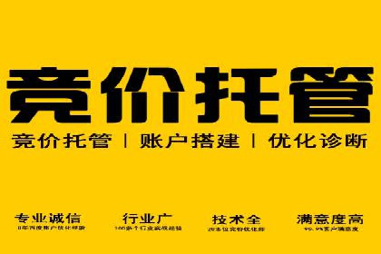 深入解析SEM竞价优化的核心技术与案例